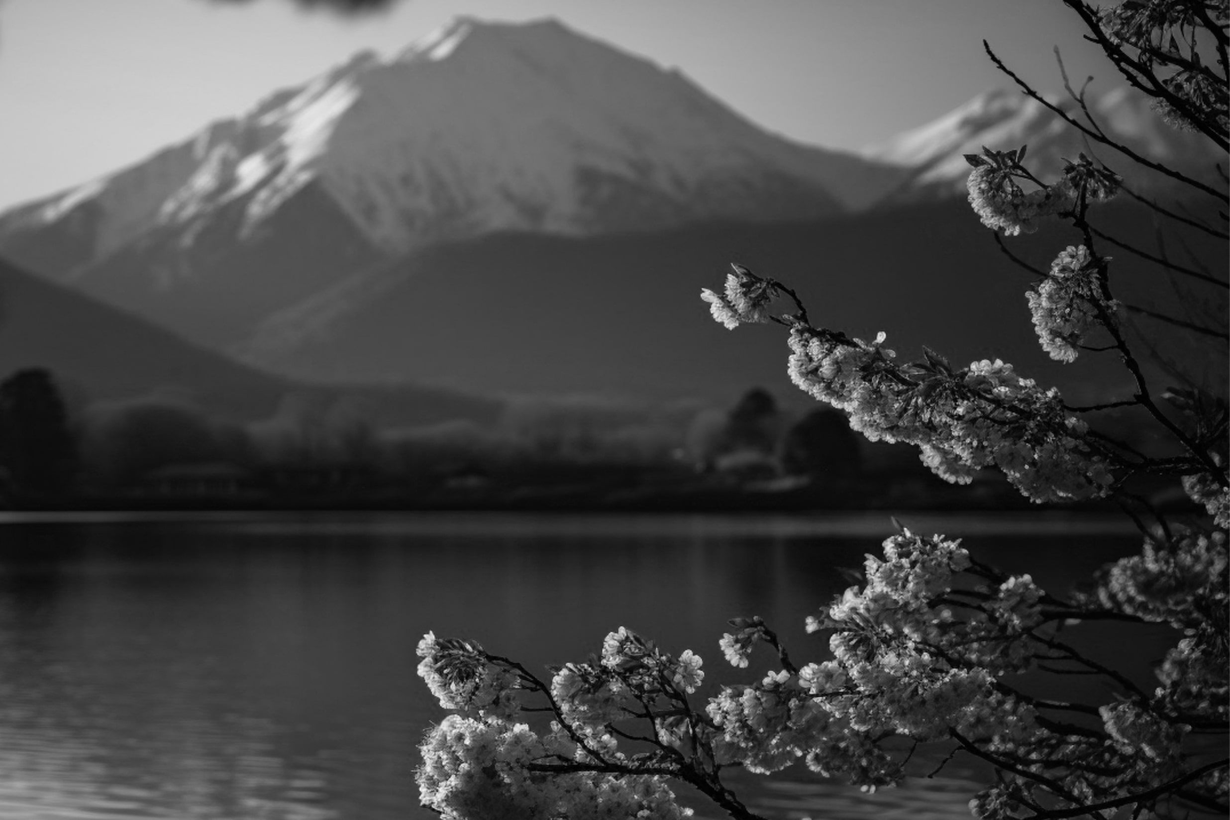 mount-fuji-kawaguchiko